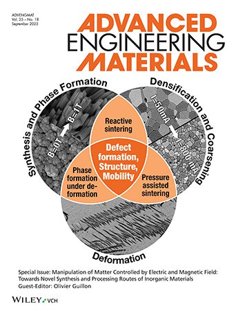 Special Issue "FieldsMatter" at Advanced Engineering Materials