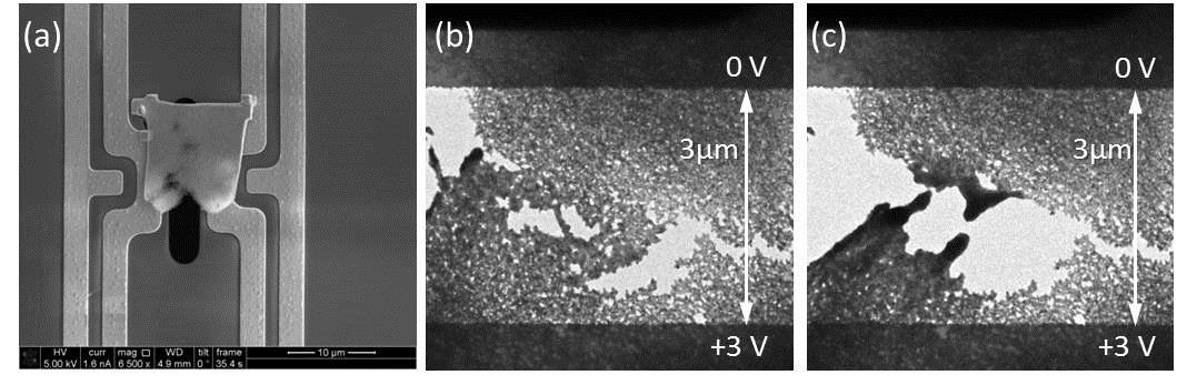 In-Situ Electron Microscopy Studies of Electric Field Assisted Sintering of Oxide Ceramics