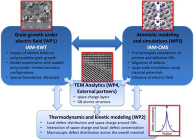 Impact of electric fields on grain growth in strontium titanate