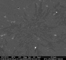 Flash sintering of Perovskites